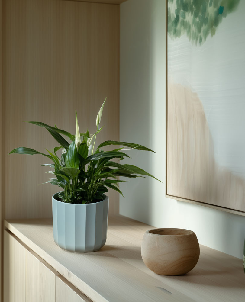 Peace Lily Bellini - Image 3