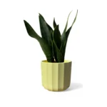 Lemon Positano Geo Pot