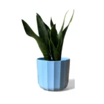 Mint Positano Geo Pot