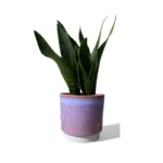 Copenhagen Two Tone Pink Pot