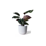 Light Grey Lisbon Pot