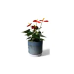 Copenhagen Two Tone Aqua Pot