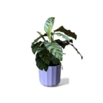 Positano Lilac Geo Pot
