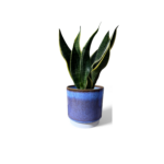 Copenhagen Two Tone Blue Pot