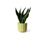 Positano Geo Lemon Pot
