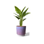 Copenhagen Two Tone Pink Glaze Pot
