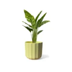 Positano Lemon Geo Pot