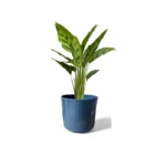 Remi Green Reactive Glaze Pot