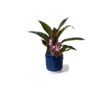Athens Reactive Blue Ribbed Pot