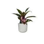 Light Grey Lisbon Pot