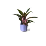 Positano Lilac Geo Pot