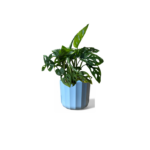 Positano Mint Geo Pot