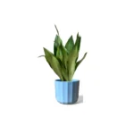Positano Mint Geo Pot