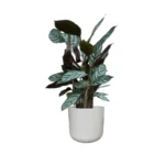 Light grey Lisbon Pot
