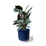 Athens Ribbed Blue Pot