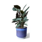 Copenhagen Two Tone Blue Pot