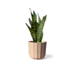 Positano Apricot Geo Pot