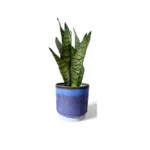 Copenhagen Two Tone Blue Pot