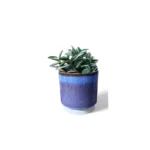Copenhagen Two Tone Blue Pot