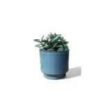 Mia Aqua Pot