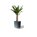Copenhagen Two Tone Aqua Pot