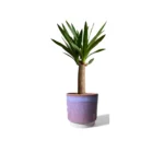 Copenhagen Two Tone Pink Pot