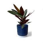 Athens Ribbed Blue Pot