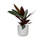 Lisbon Pot Light Grey