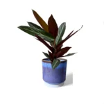 Copenhagen Two Tone Blue Pot
