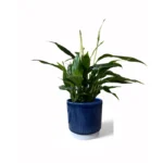 Athens Reactive Glaze Ribbed Blue Pot