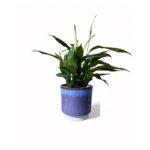 Copenhagen Two Tone Blue Pot