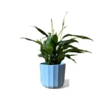 Positano Mint Geo Pot