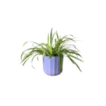 Lilac Geo Positano Pot