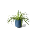 Remi Green Reactive Glaze Pot