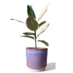 Copenhagen Two Tone Pink Pot