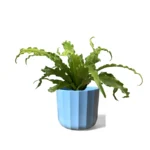 Mint Geo Pot